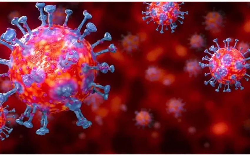 Andhra Pradesh Covid: Three New Covid Cases Reported in the State