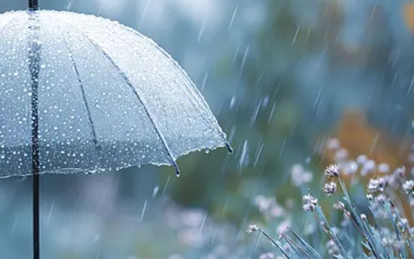 AP Weather Alert: Heavy Rains Expected for Next Three Days