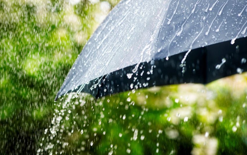 Andhra Pradesh Nairuti Season Ends: From Drought to Heavy Rains – Mixed Impact on Farmers