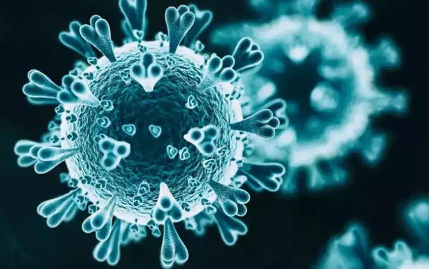 Corona Alarm in Visakhapatnam: Young Woman Tests Positive for COVID-19