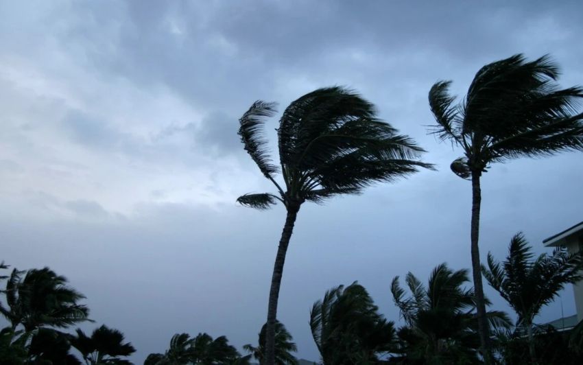 Cyclone: The storm is expected to cross the coast this afternoon; heavy rains likely in North Andhra.