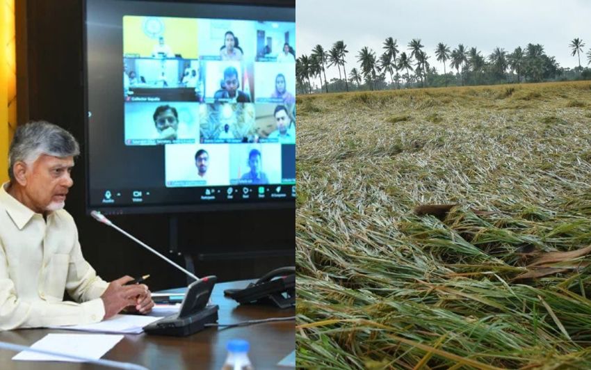 Heavy Rains Damage Over 2,200 Hectares of Crops in Andhra Pradesh