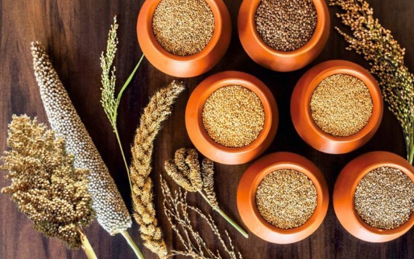 International Millets Centre in Hyderabad: Centre Sanctions ₹250 Crore for Establishment