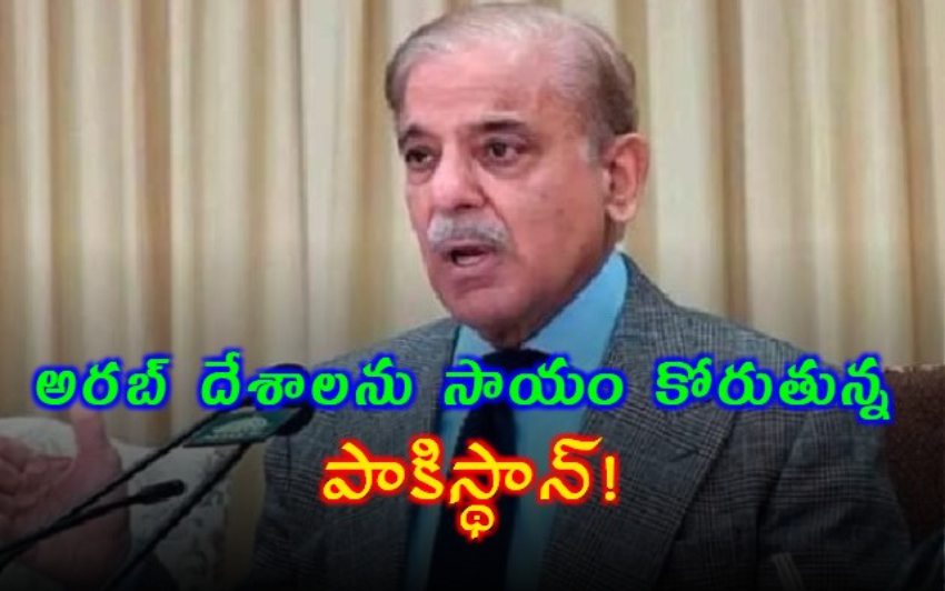 పాకిస్థాన్‌కు భయాందోళన: అరబ్ దేశాల సహాయం కోరుతున్న షహబాజ్ షరీఫ్‌