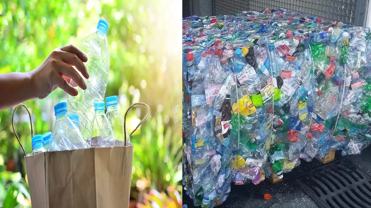 The Indian company producing sculptures with plastic bottles is gaining recognition abroad